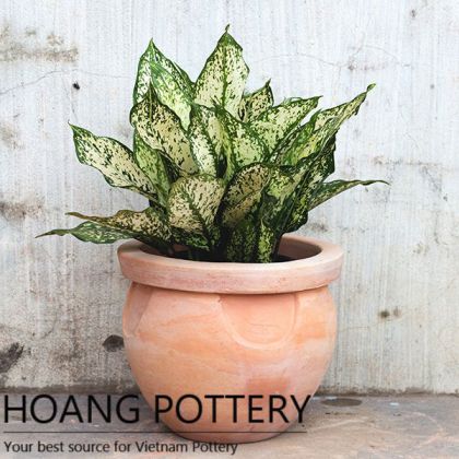 Beautiful Design Red Clay Flower Pot (HPTC018)