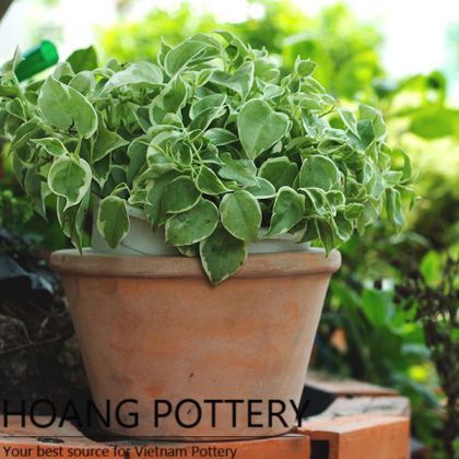 Outdoor Terracotta Flower Planter (HPTC030)