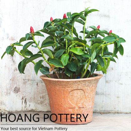 Pattern Red Terracotta Garden Pots (HPTC055)