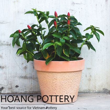 Red Terracotta Flower Pot (HPTC008)
