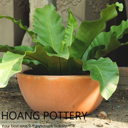 Round Red Clay Medium-sized Flower Pot (HPTC009)