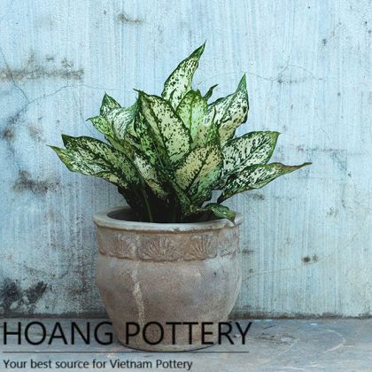 Traditional Rustic Clay Pots (HPTC069)