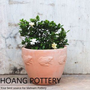 Frog Pattern Terracotta Pot (HPTC049)