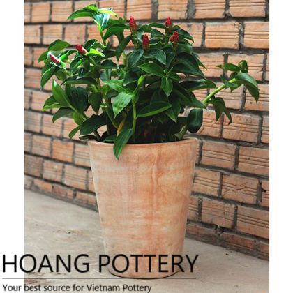 Modern Style Red Terracotta Pots (HPTC112)