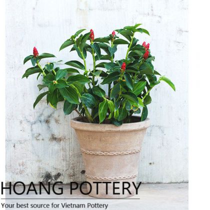 Quality Red Clay Garden Decor Pots (HPTC095)