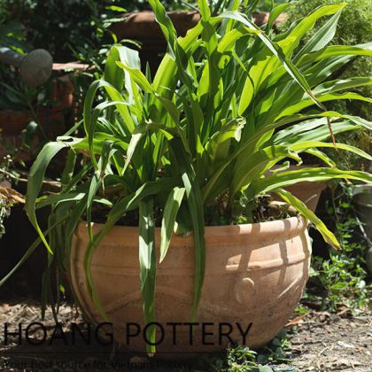 Red Terracotta Pot Garden Decor (HPTC012)