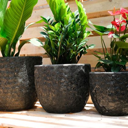 Black round ceramic pots