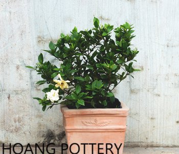 Balconies and porches with planter pots