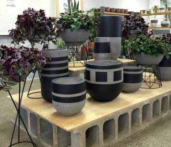 Five container trends